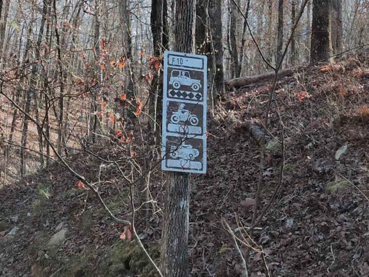 F10 Rock Fink Ravine Part Deux photo 2