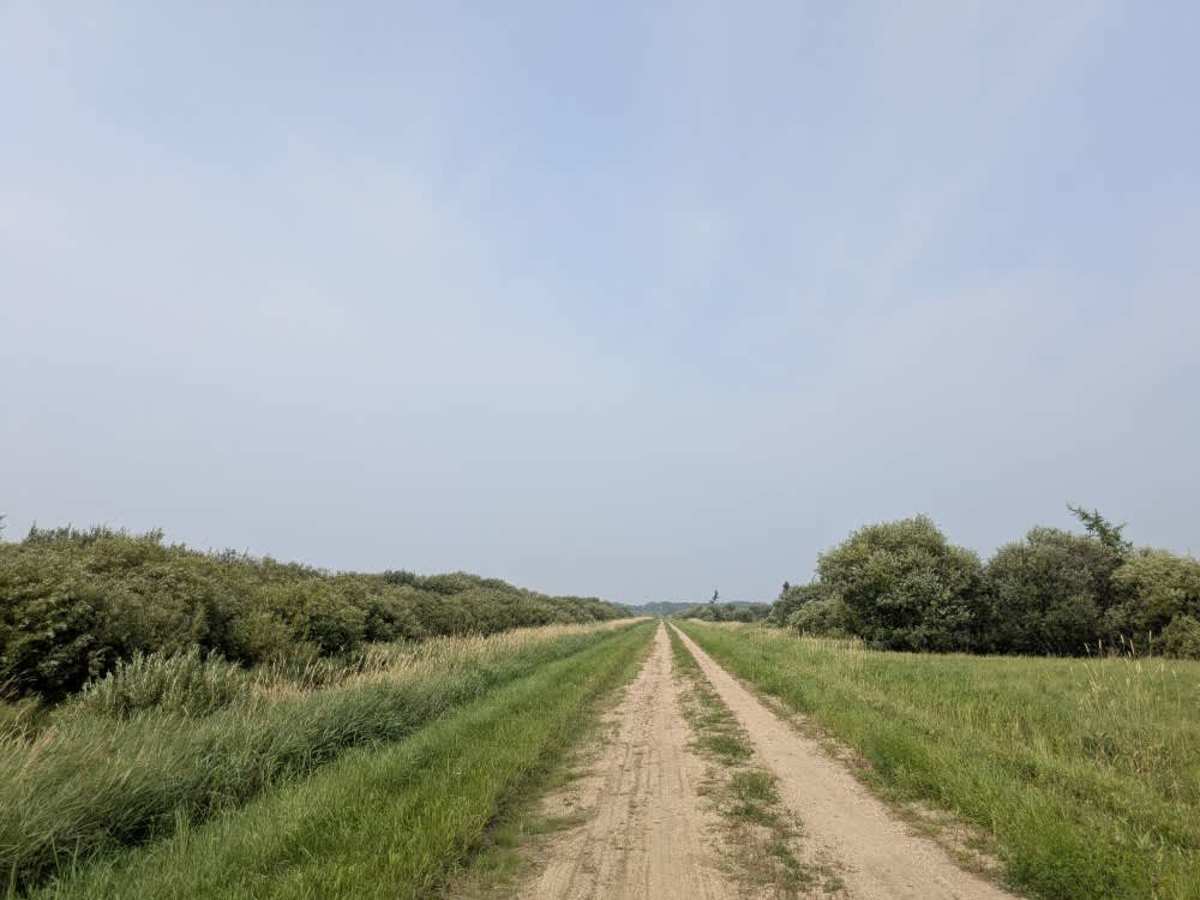 Mertz Road trail photo