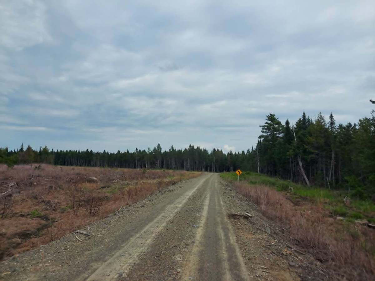 Twin Brook Secondary trail photo