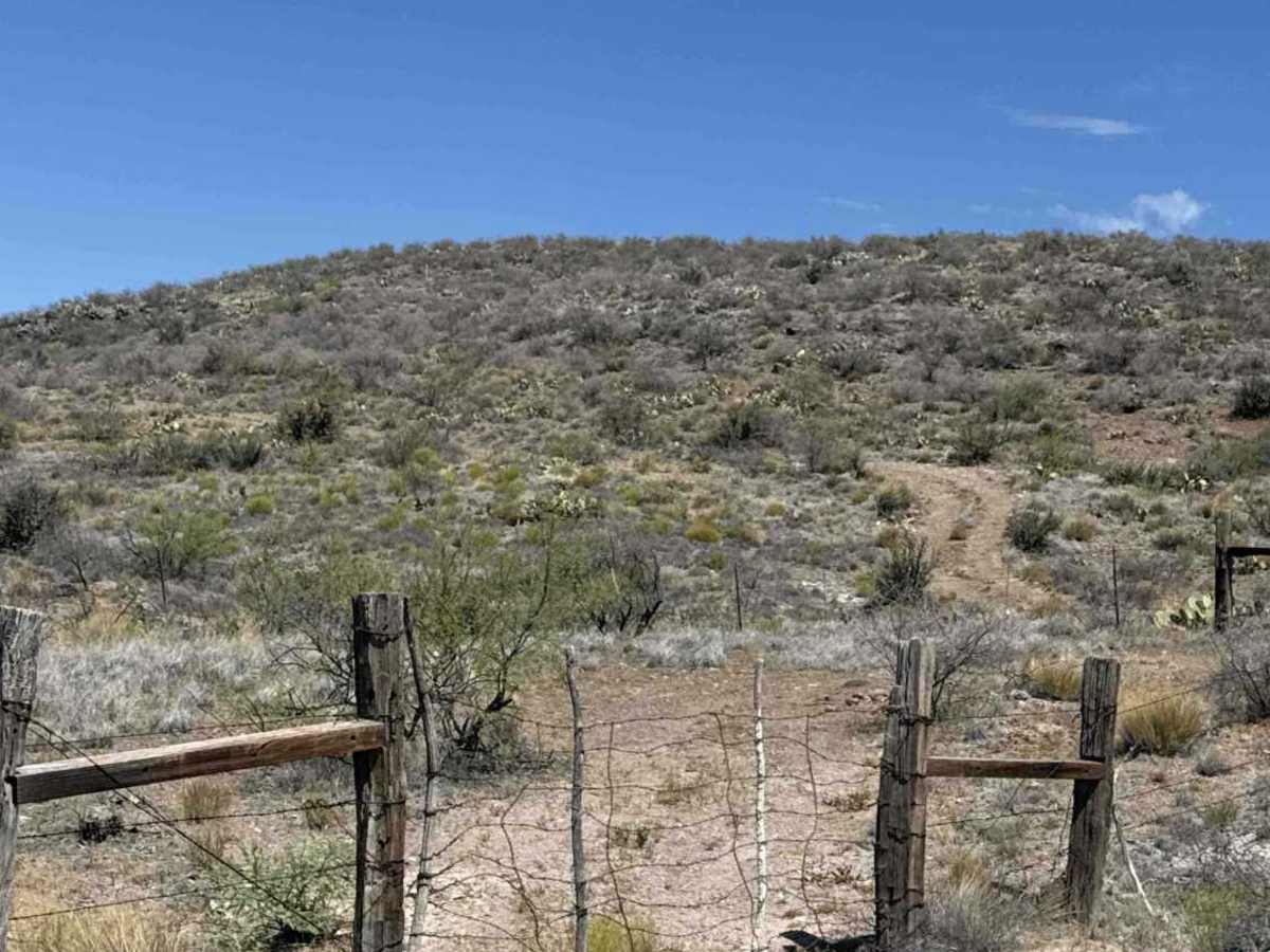 BLM 50016 photo 3