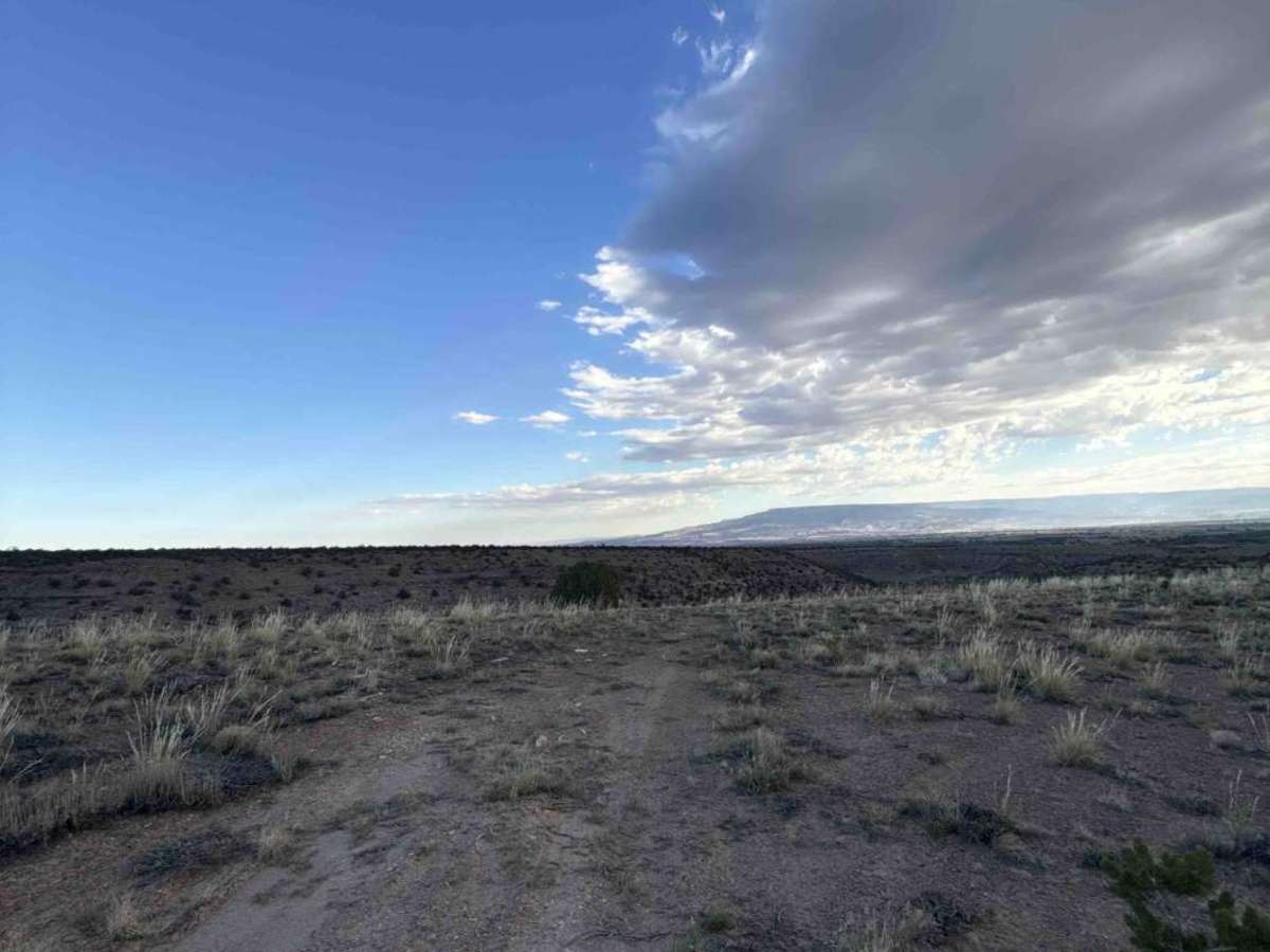 Little Buck Road photo 4