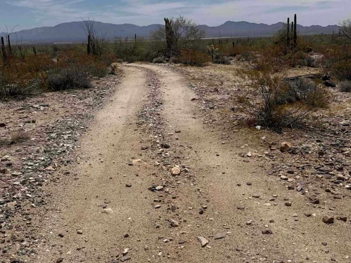 Lost Beauty trail photo
