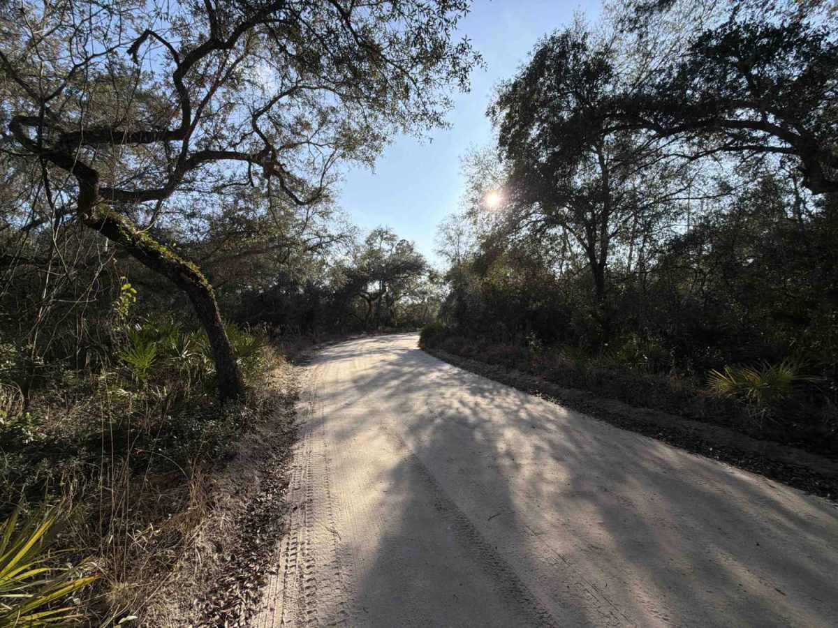 Lake Kerr Key - FS 316 photo 4