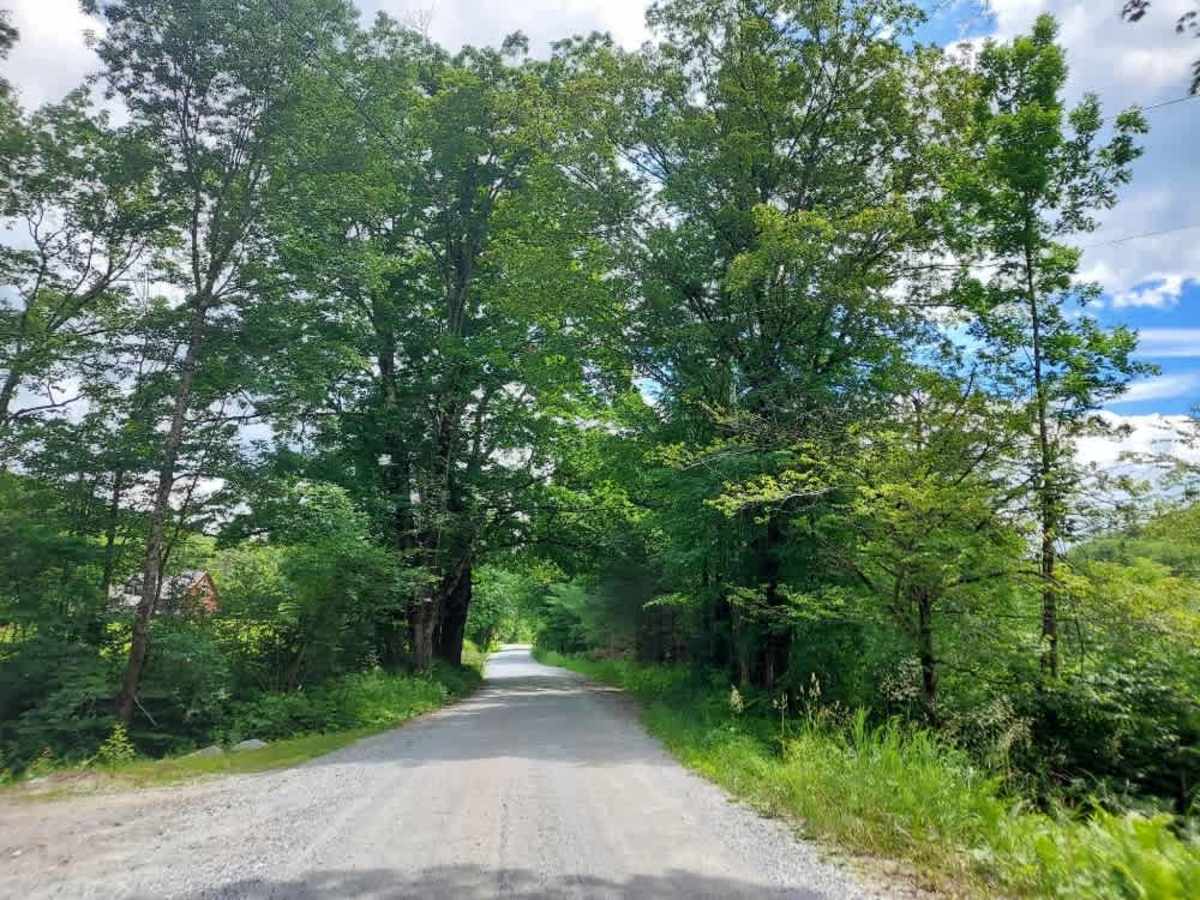 Hale Hollow Road photo 4