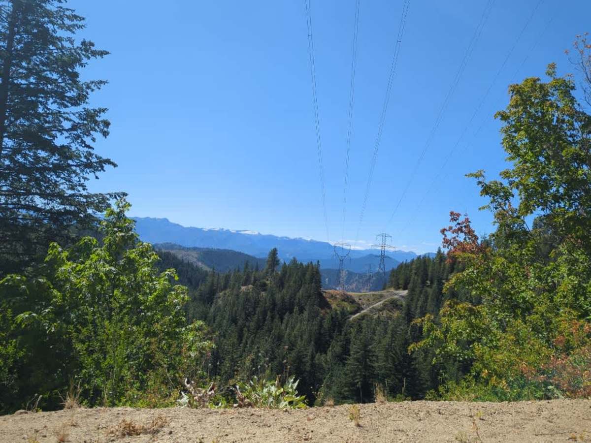 Van Creek Road trail photo