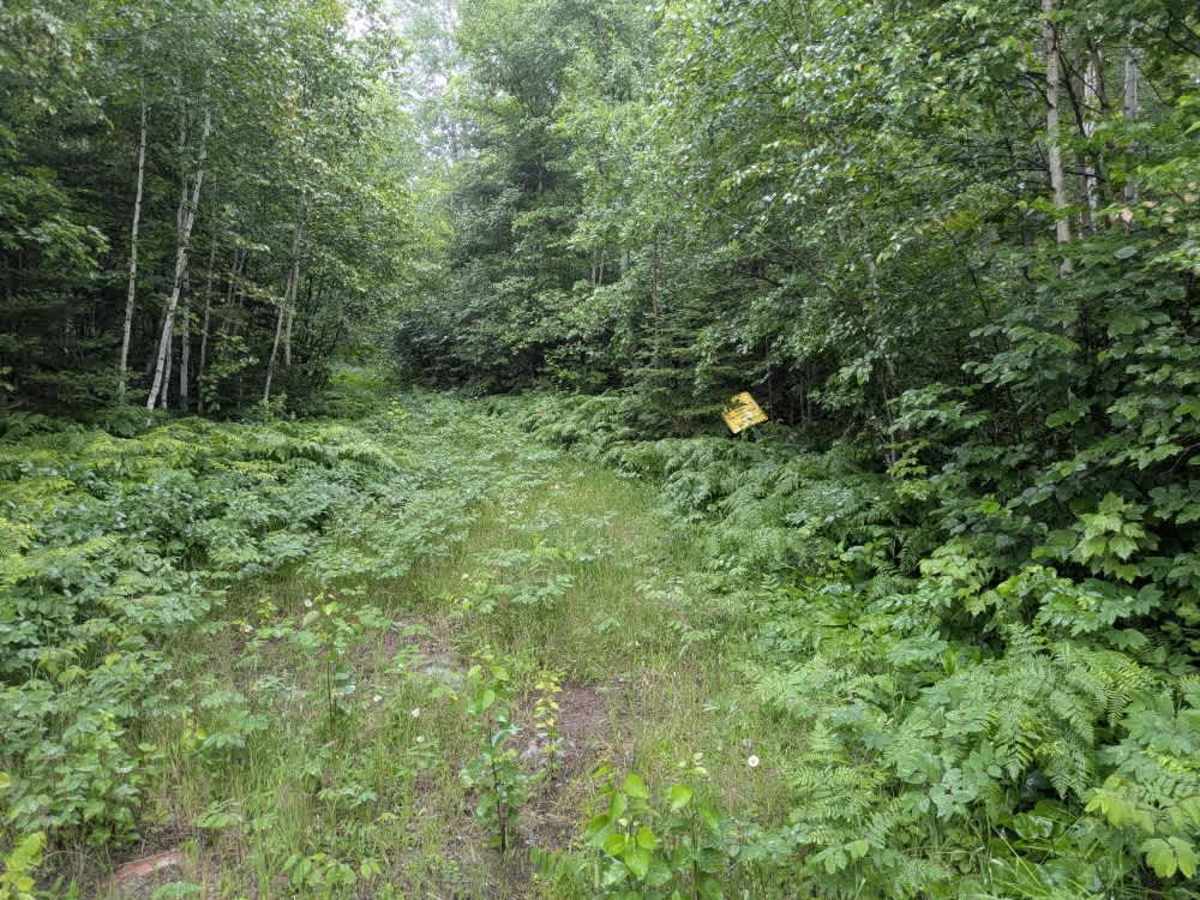 Honeymoon Trail photo 6
