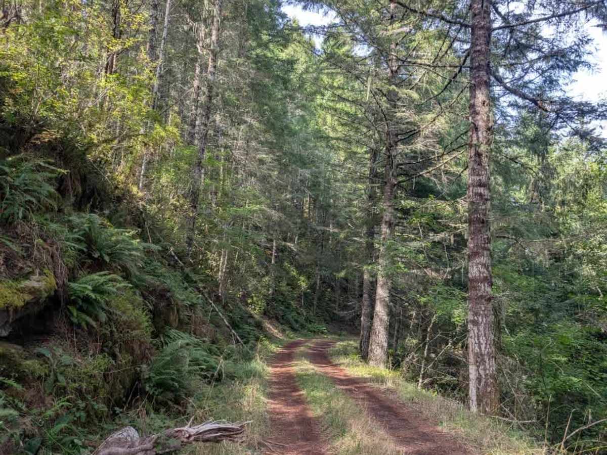 1420 trail photo