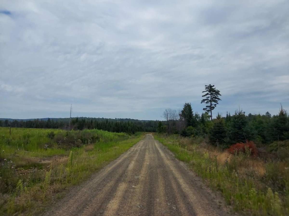 Link Trail photo 3