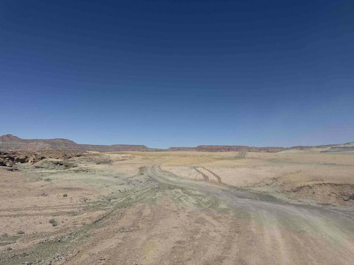 Alstrom Point Trail photo 4