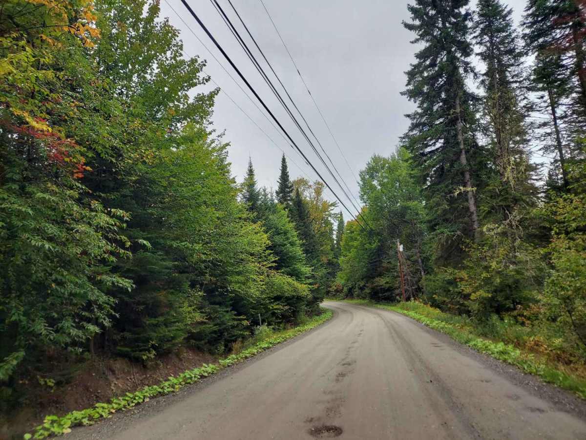 Arthur Scott Road trail photo