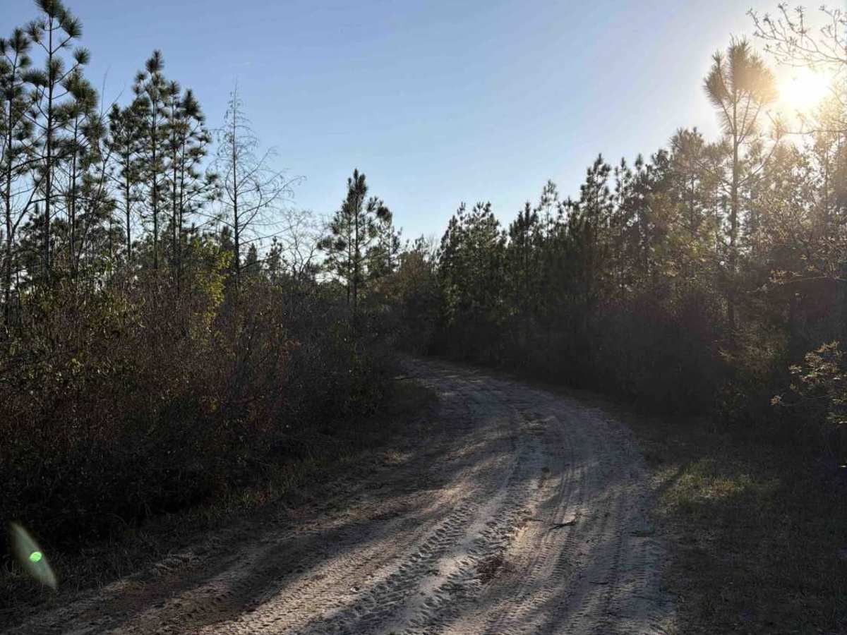 SFR 142 photo 4