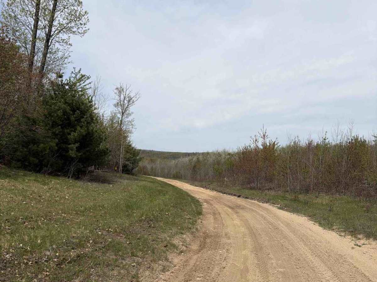 Big Oaks photo 6