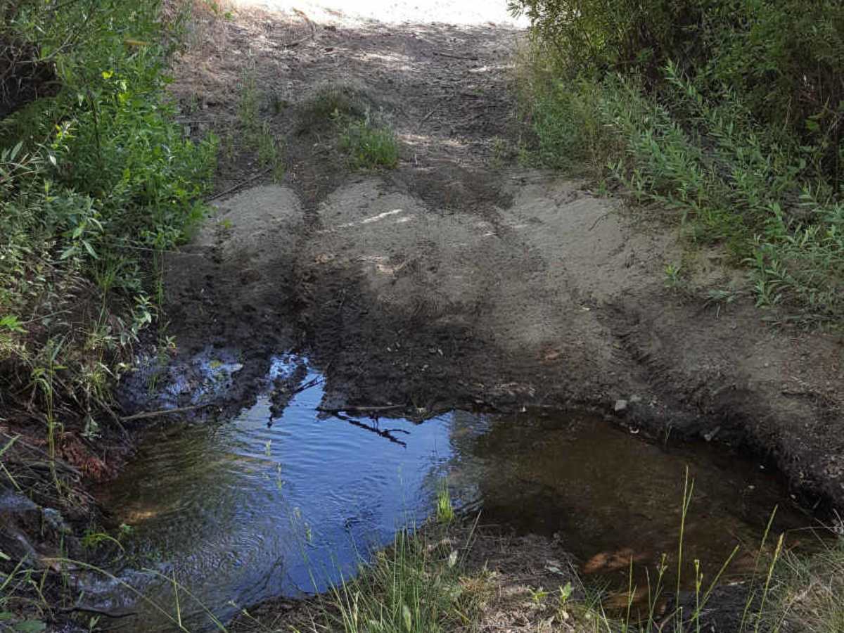 Yellowjacket OHV Trail - FS 20W24 photo 3