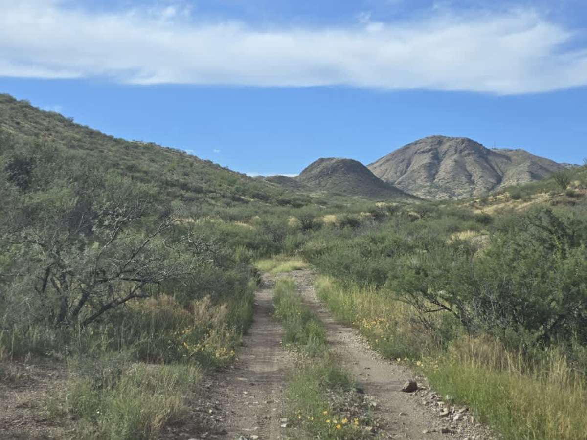 Proctor Trail photo 6