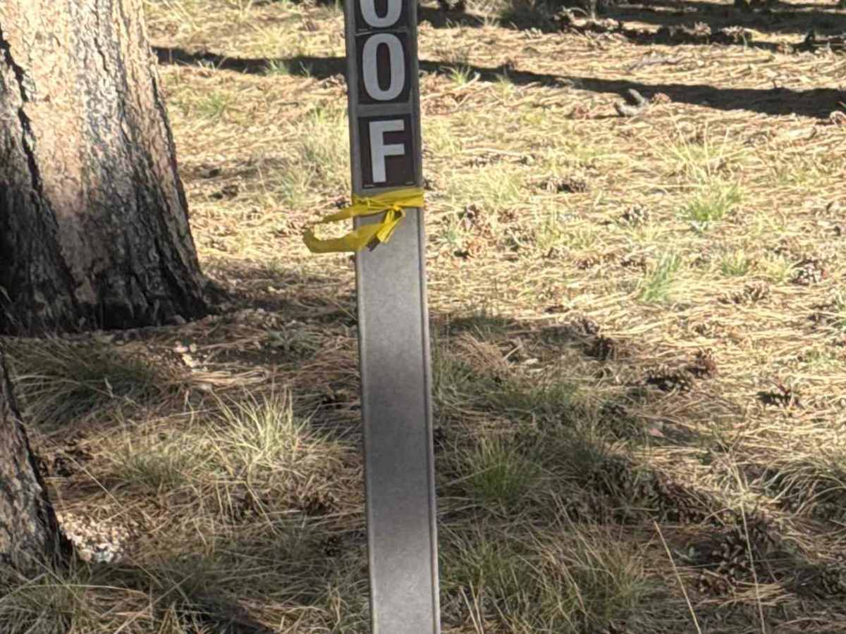 FS 200F trail photo
