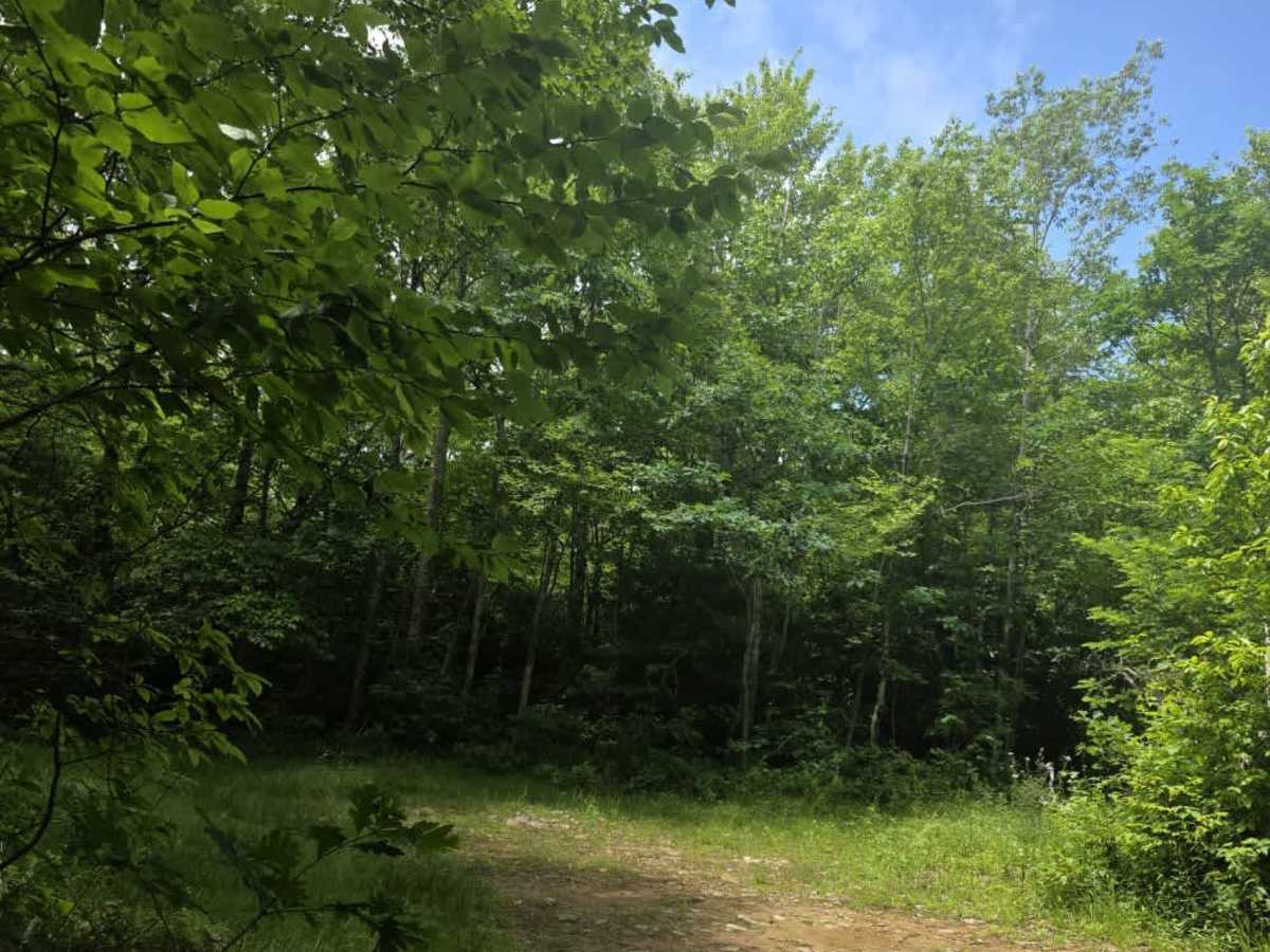 Kennedy Cabin photo 6