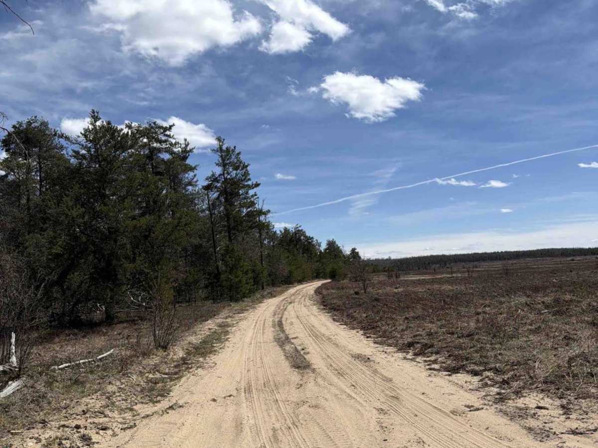 Ketcham Truck Trail trail photo