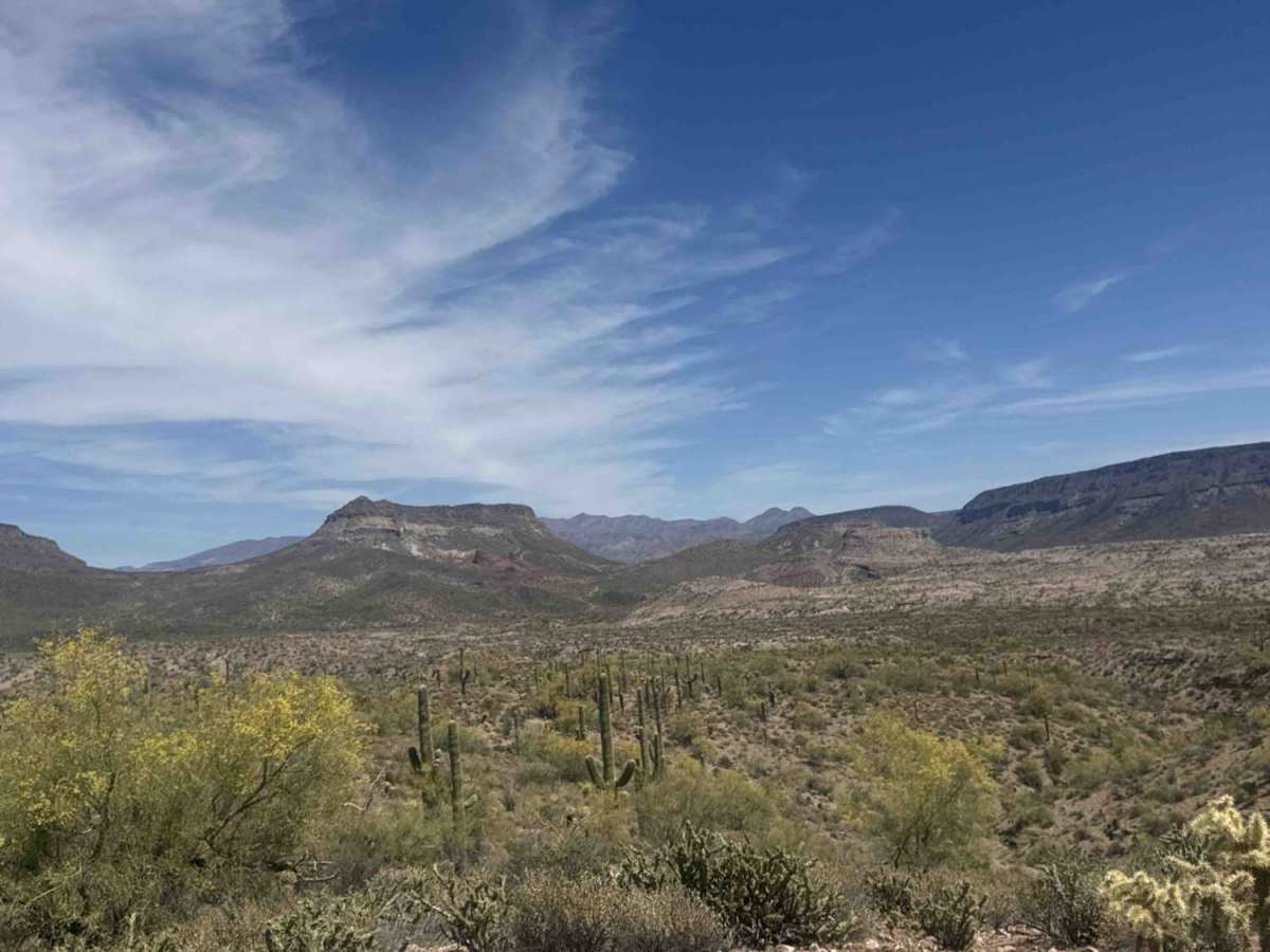 BLM 28063 photo 5
