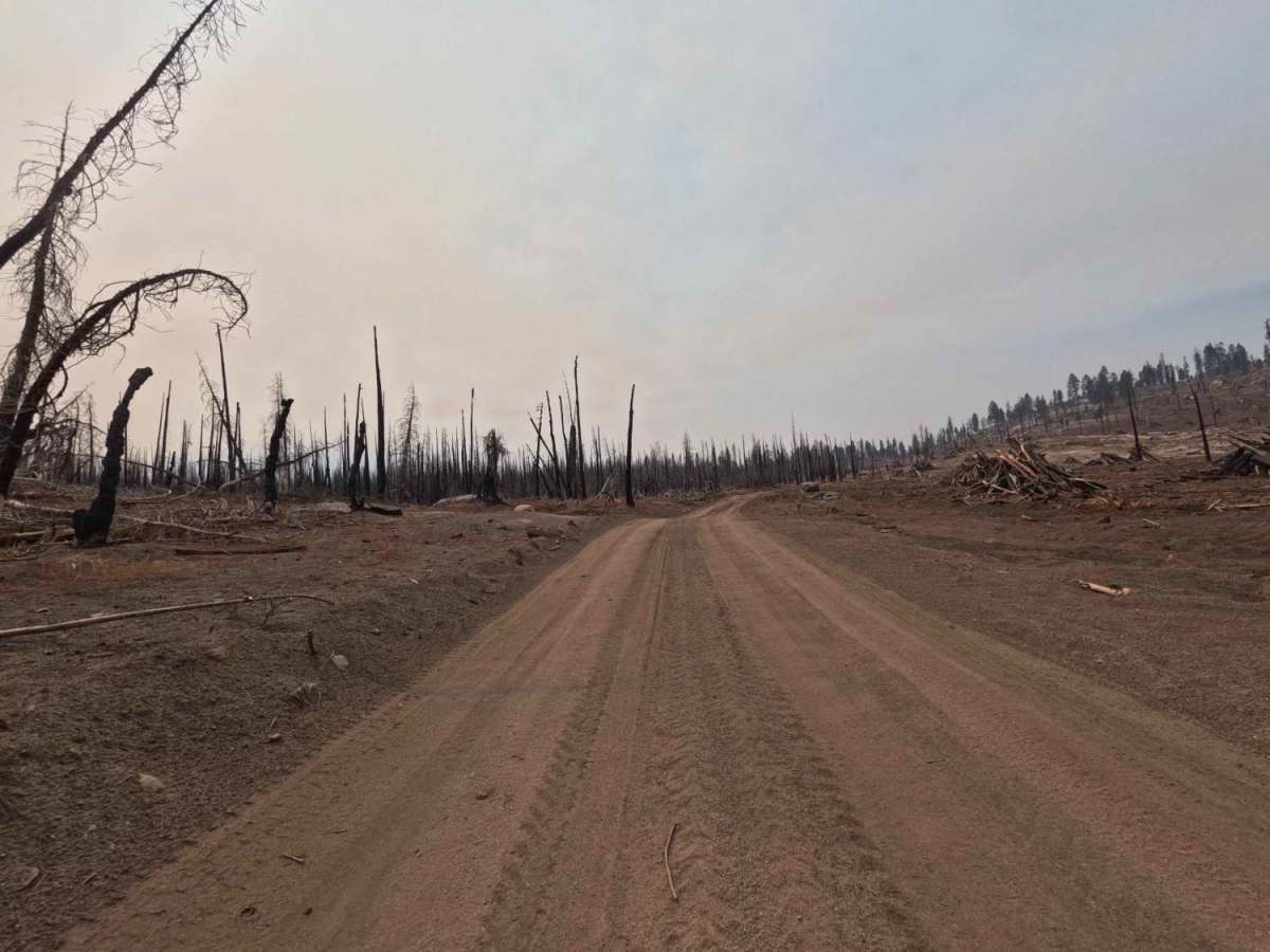 Lower Tamarack - FS 9s026 photo 6