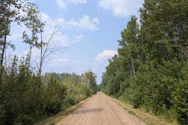Gold Mine Road 