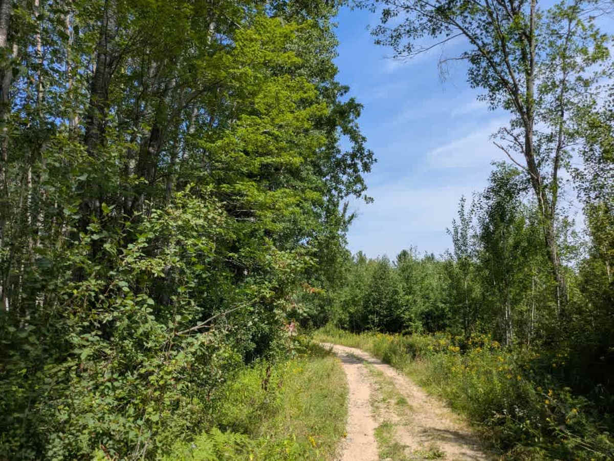 Hungry Gulch Road photo 5