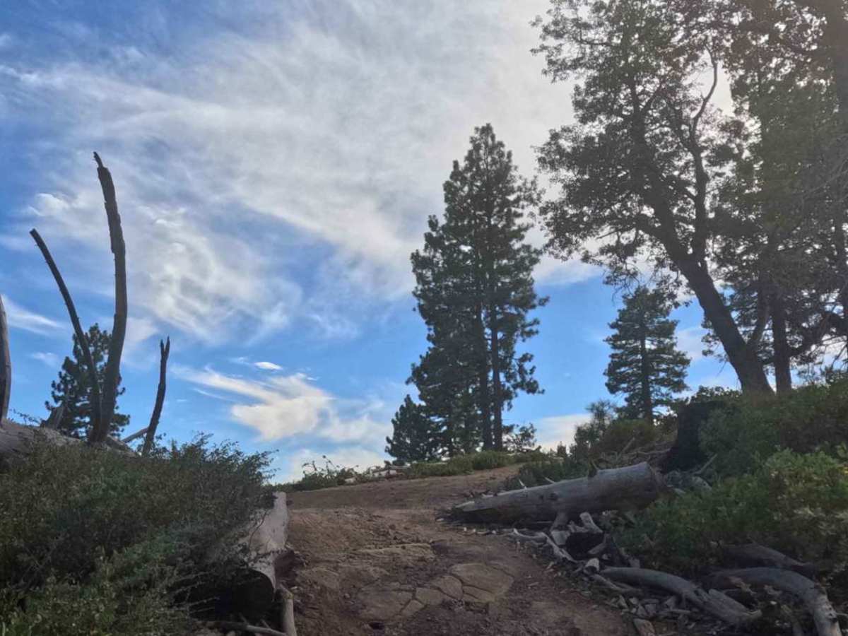 Ten Mile Grade C Spur - FS 4S004C trail photo