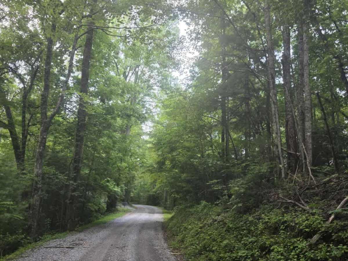 Ridge Road photo 5