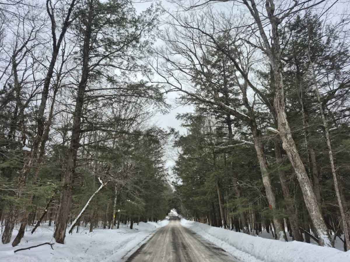 Partridge Run photo 4