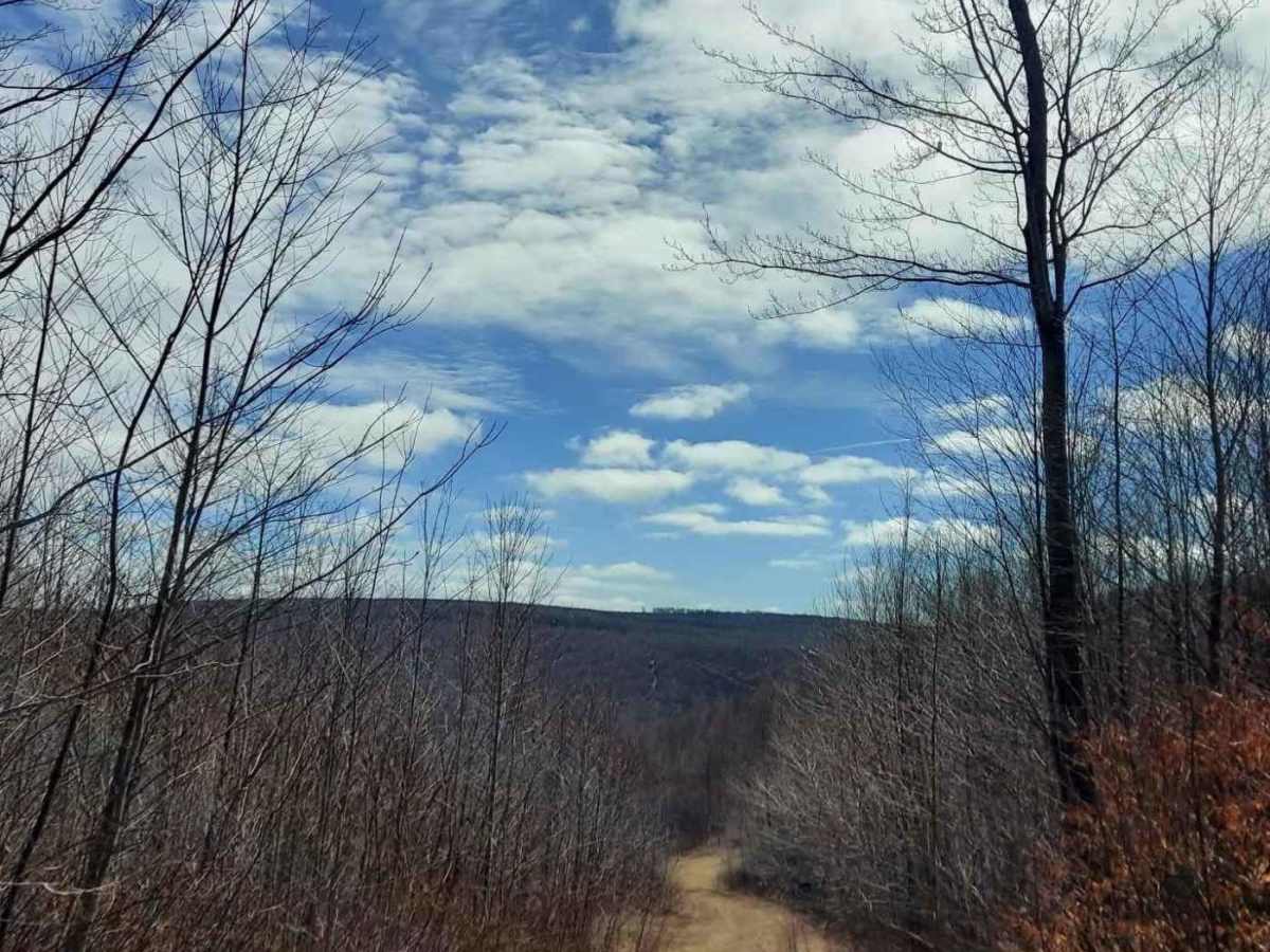 Lick Run Road photo 2