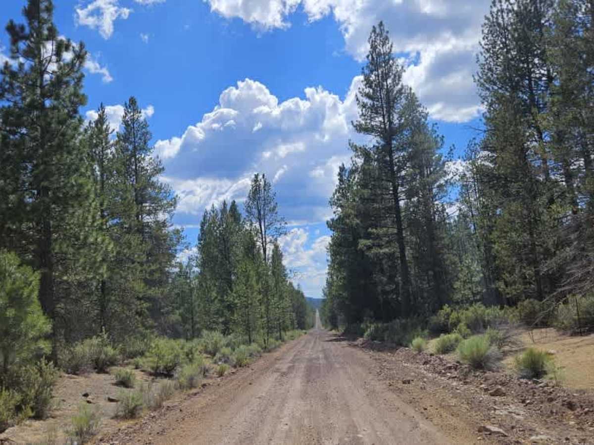 FS 7646000 trail photo