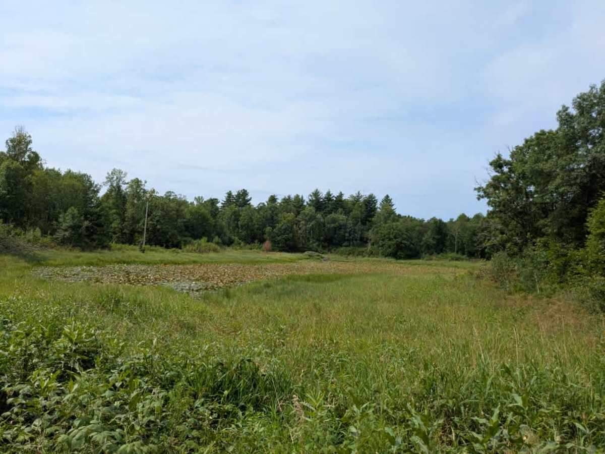 County 39 Northeast photo 3