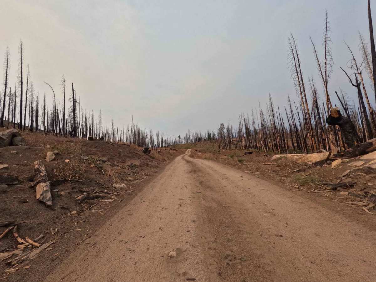 Lodgepole - FS 9s027 photo 4