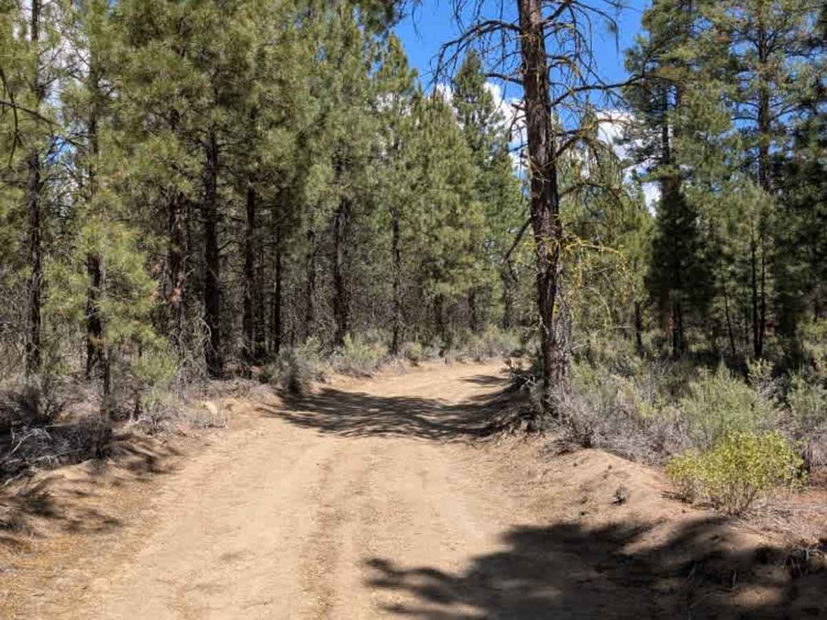 5811640 trail photo