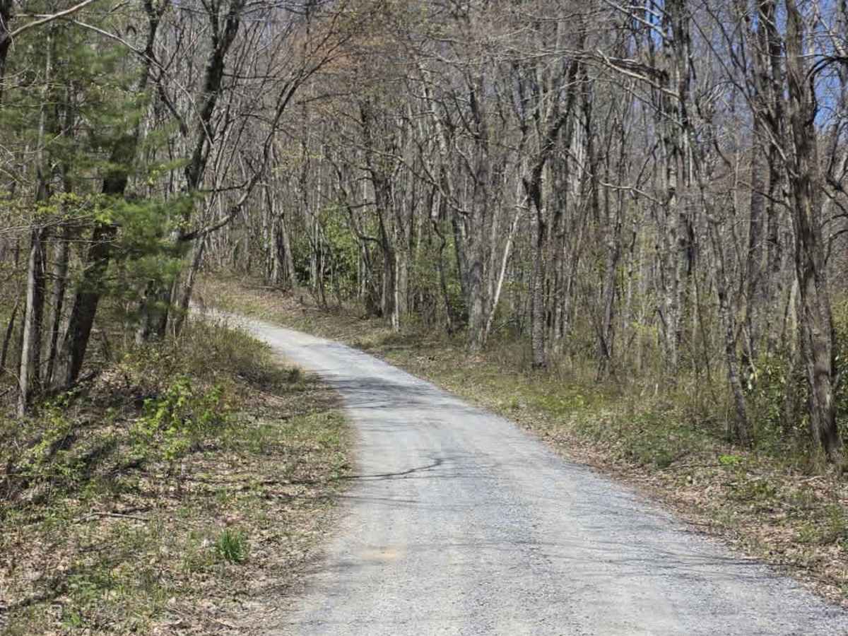 Panhandle Road Crest photo 4