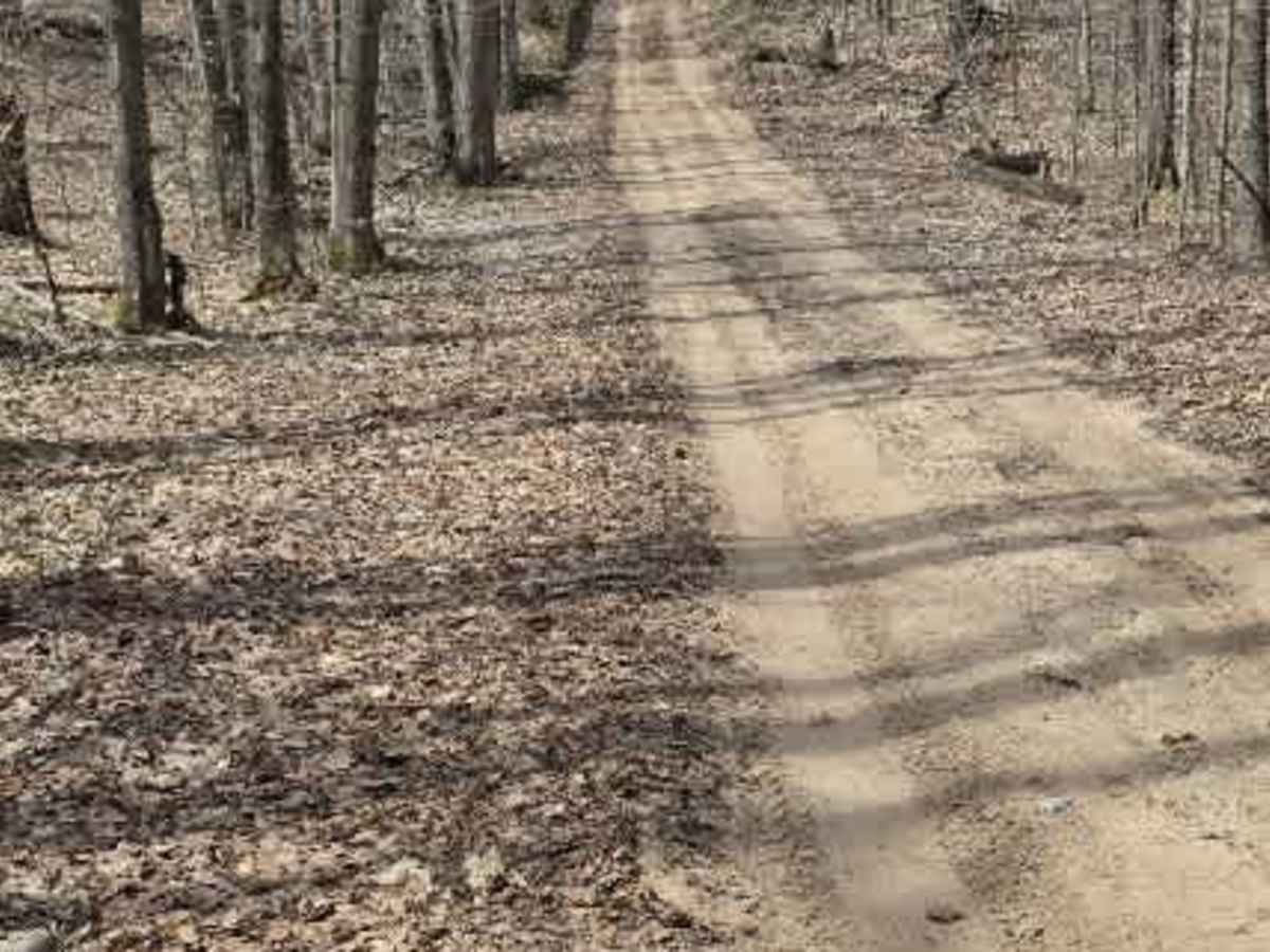 Holms Road photo 4