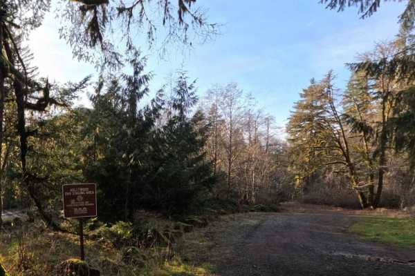 South Fork Trask River Road
