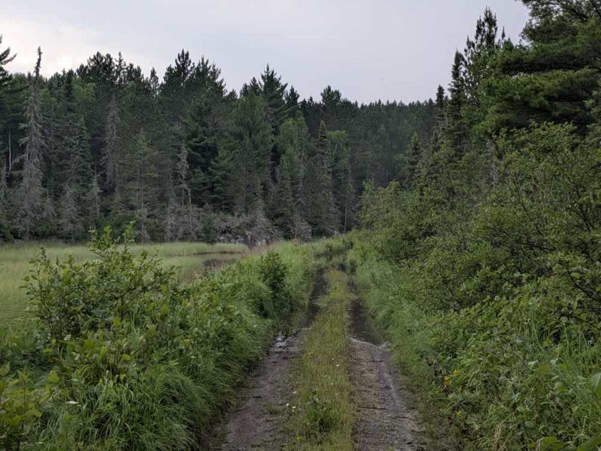August Creek  photo 4