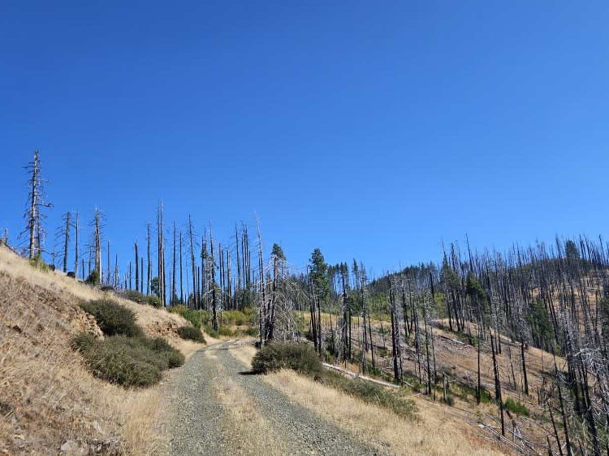 FS 3220300 trail photo