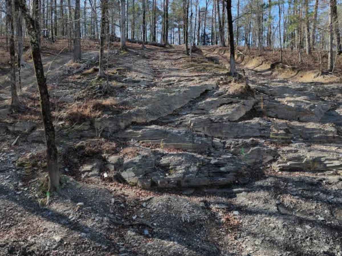 F9 Bonus Hill photo 2