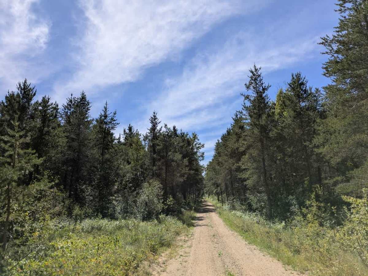 Wobble Grade Road photo 4