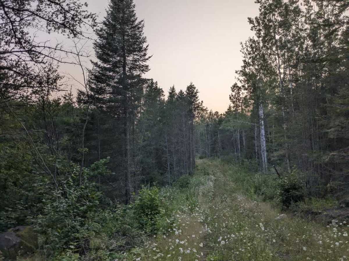Nester Creek Pit photo 6