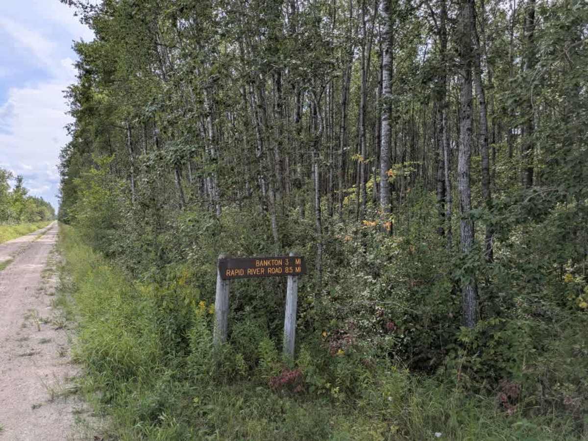 Pitt Grade Forest Trail photo 2