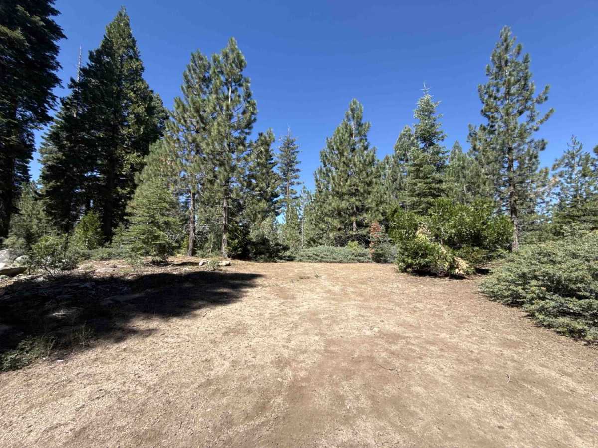 FS 16EV434 trail photo