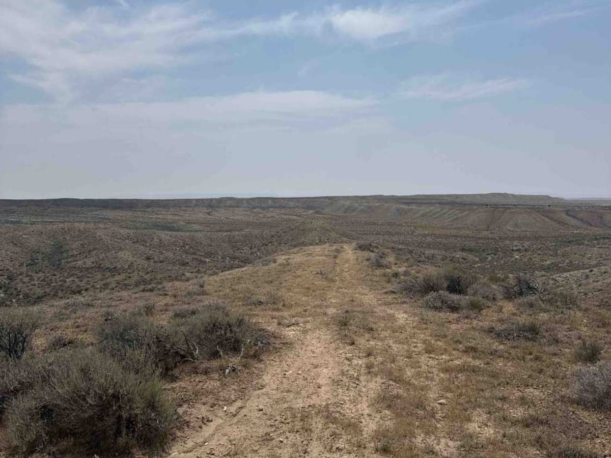 BLM 114 photo 5