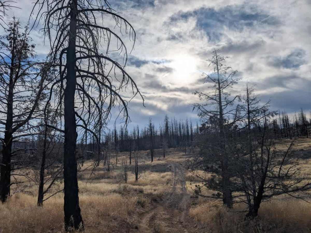 FS 25N06 trail photo