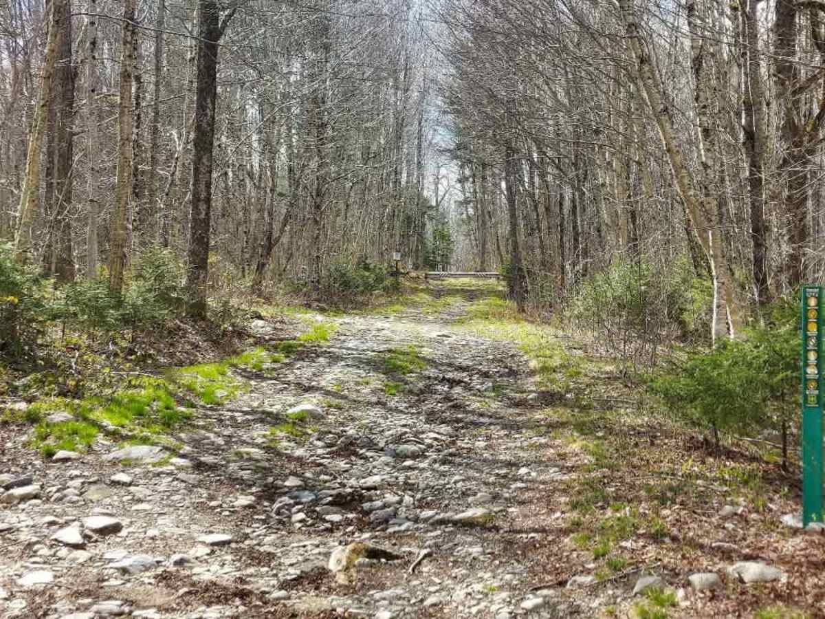 Flood Dam Trail photo 5