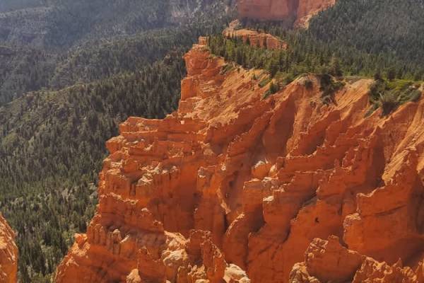 Pink Cliffs - FS 30608