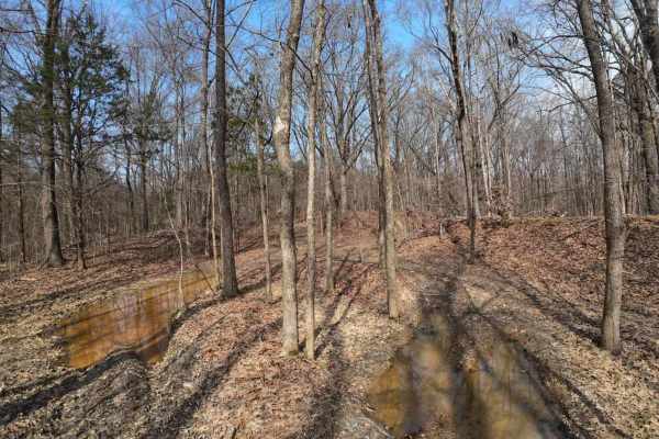 Wolf Creek Trail