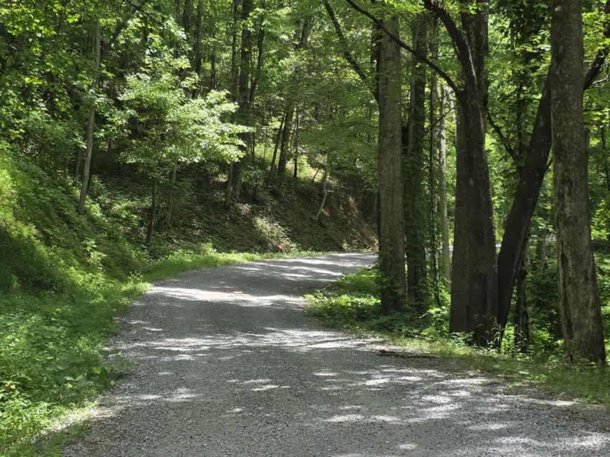 Round Mountain Road photo 5