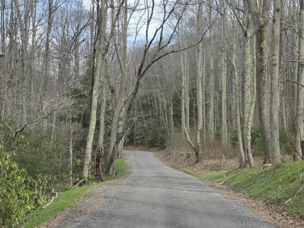 Red Fork Road photo 4